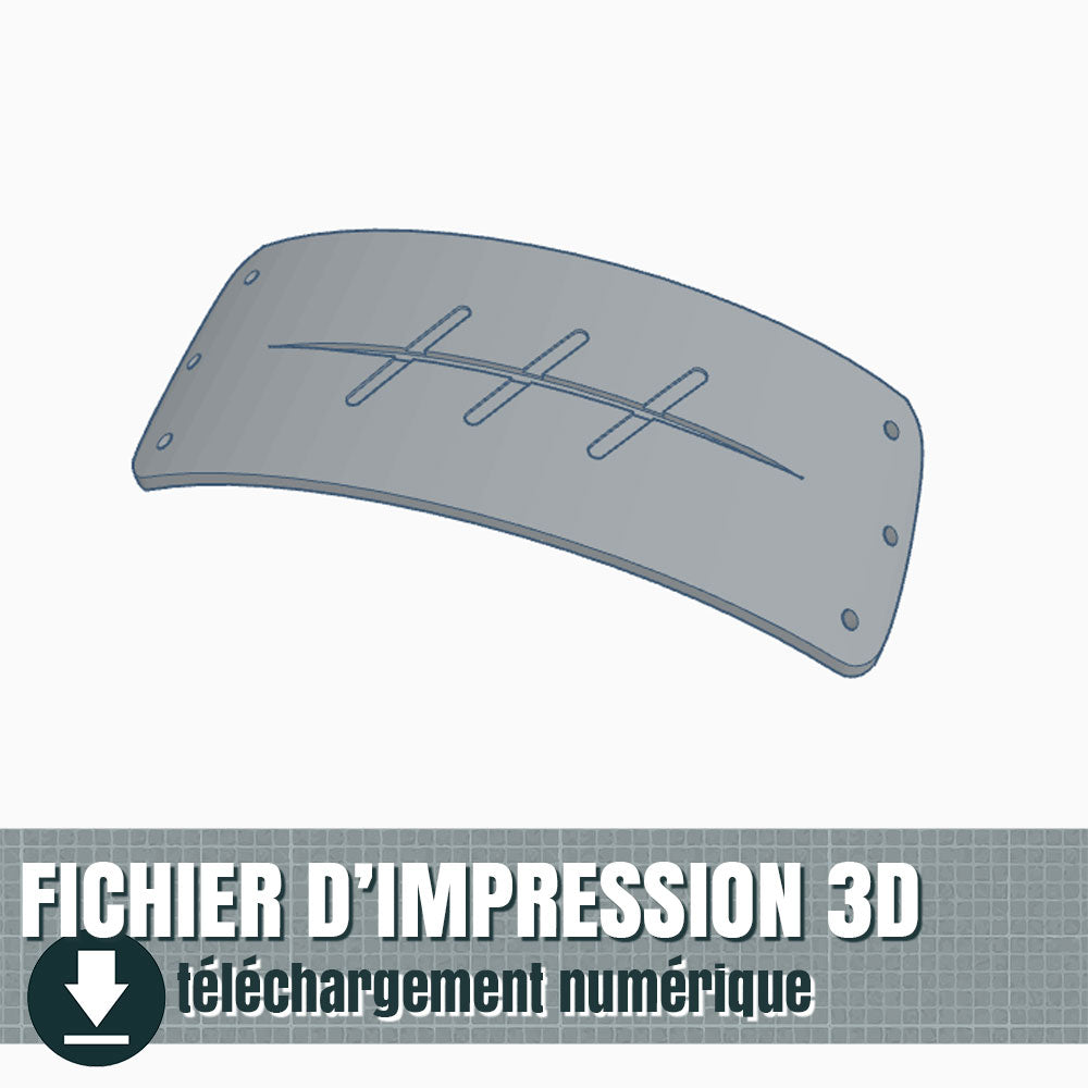 fichier 3D de la plaque de Hidan