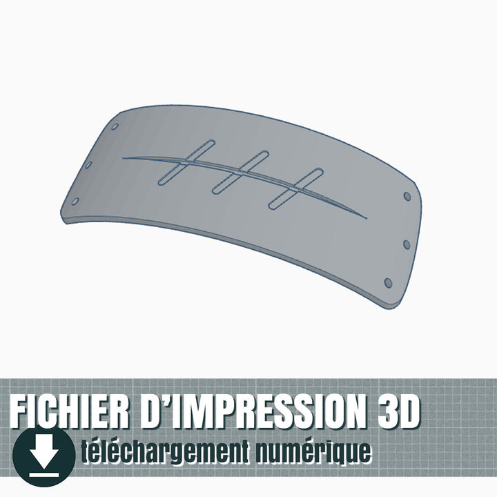 fichier 3D de la plaque de Hidan